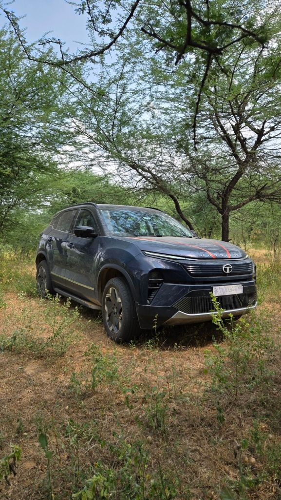 20251005_1215168076821984827972822